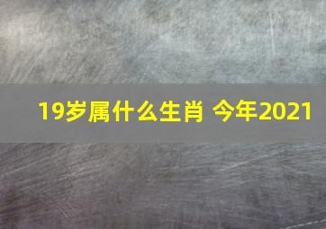 19岁属什么生肖 今年2021